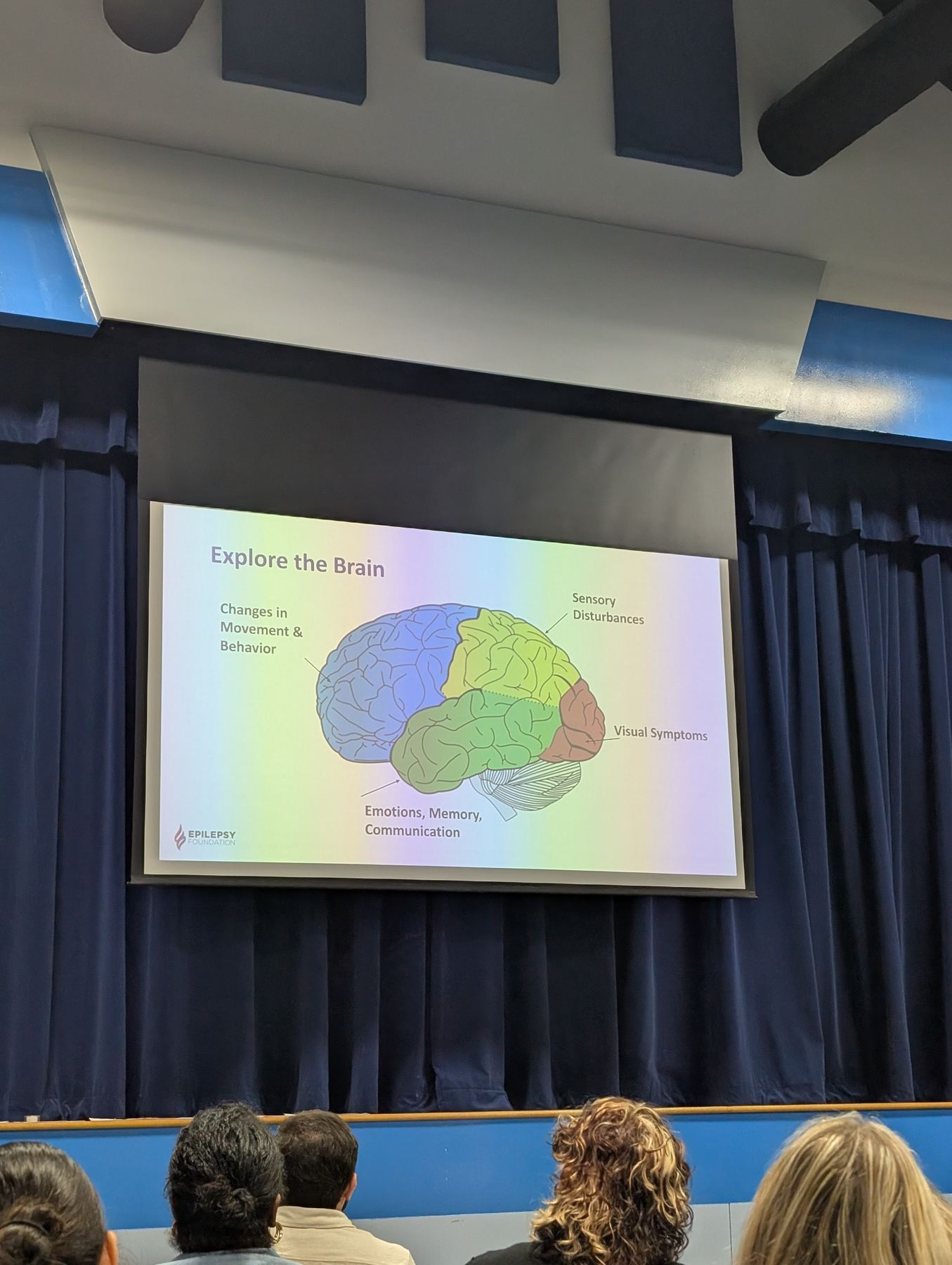 Creating Seizure-Safe Schools: The Westview School & HUB Houston photo 3